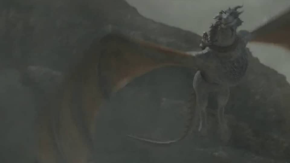 14 Dragons we saw in House of The Dragon (& their Riders)