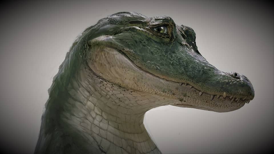 lyle lyle crocodile hindi release ott